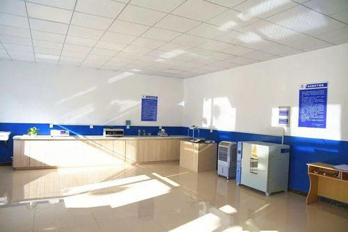 鑄就精品工程，打造一局品牌 建筑技術咨詢服務的核心價值與實踐路徑